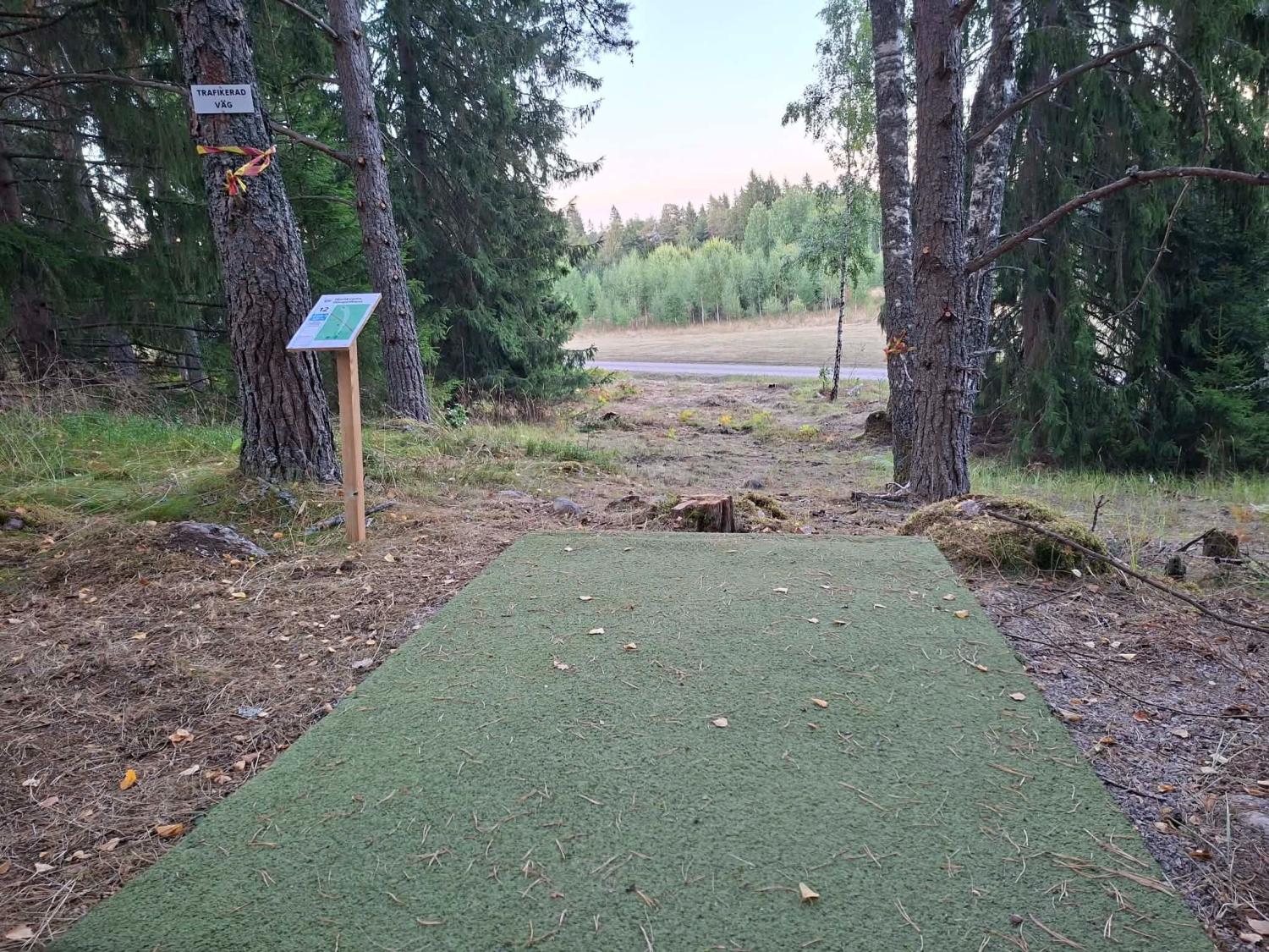 En startplats för discgolf med en skylt och en karta står på en skogsglänta, vänd mot en öppen bana som kantas av träd.
