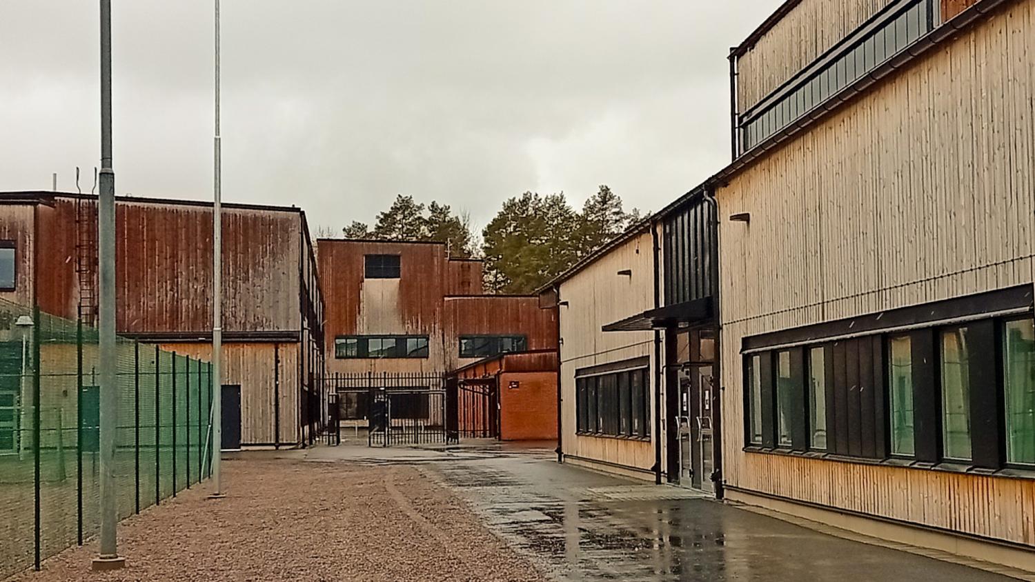 En modern skolbyggnad med ytterväggar av trä, stora fönster och våt trottoar under en mulen himmel. Ett grönt staket och en flaggstång syns på vänster sida.
