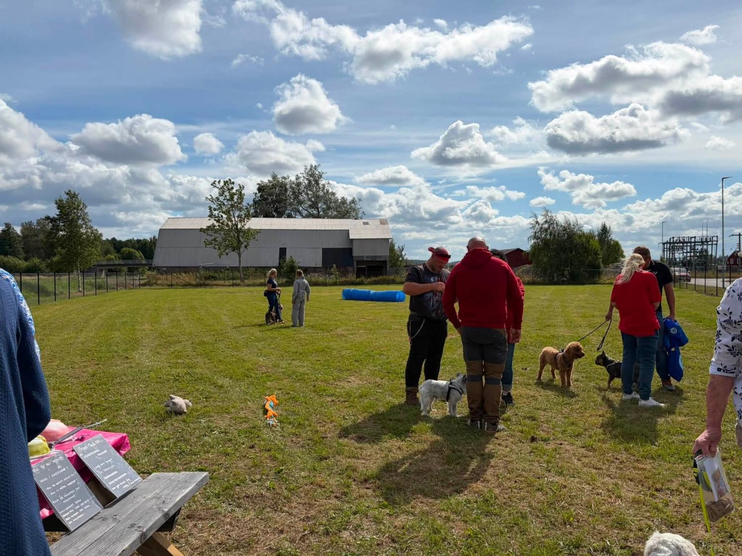 Människor och hundar samlas på en gräsbevuxen äng under en delvis molnig himmel, med en ladugård i bakgrunden och olika föremål utlagda på en picknickbänk i närheten.