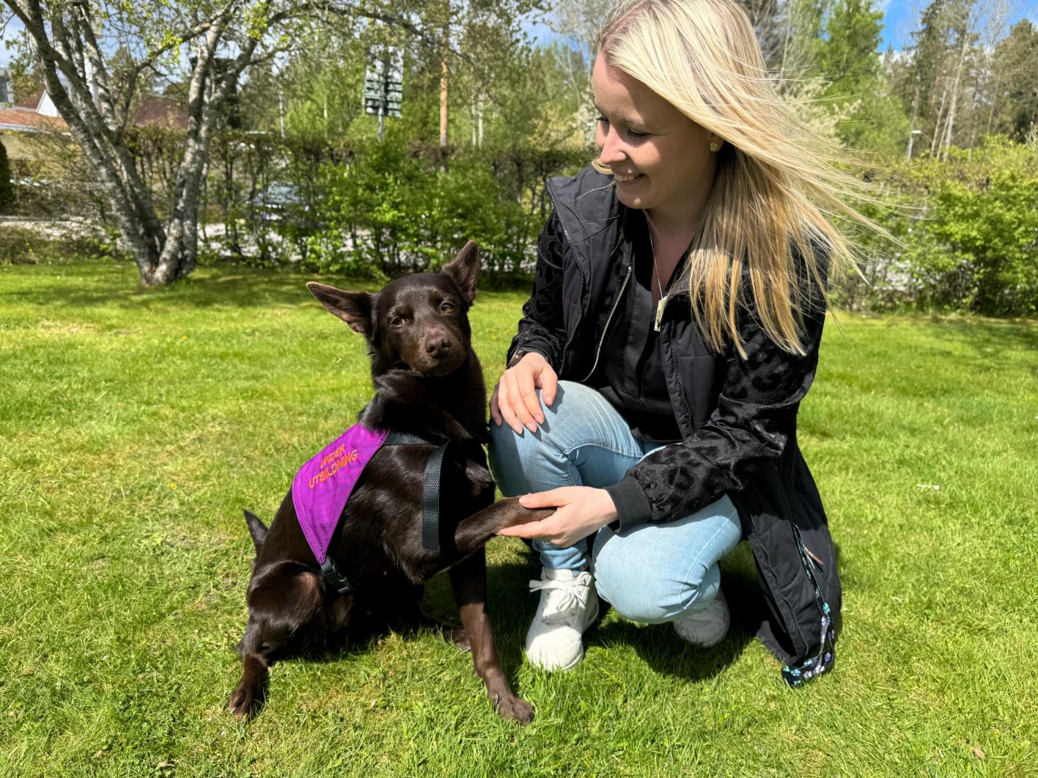 En kvinna sitter på huk i gräset och ler mot en brun hund som bär en lila väst när de skakar hand en solig dag.