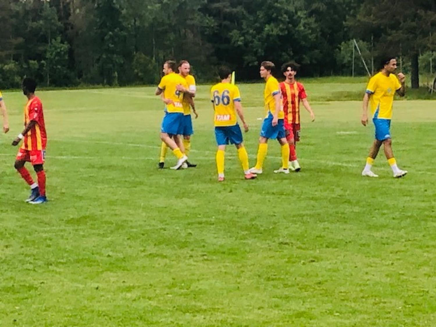 Fotbollsspelare i gula och blåa tröjor samt röda randiga tröjor går på en gräsplan med träd i bakgrunden.