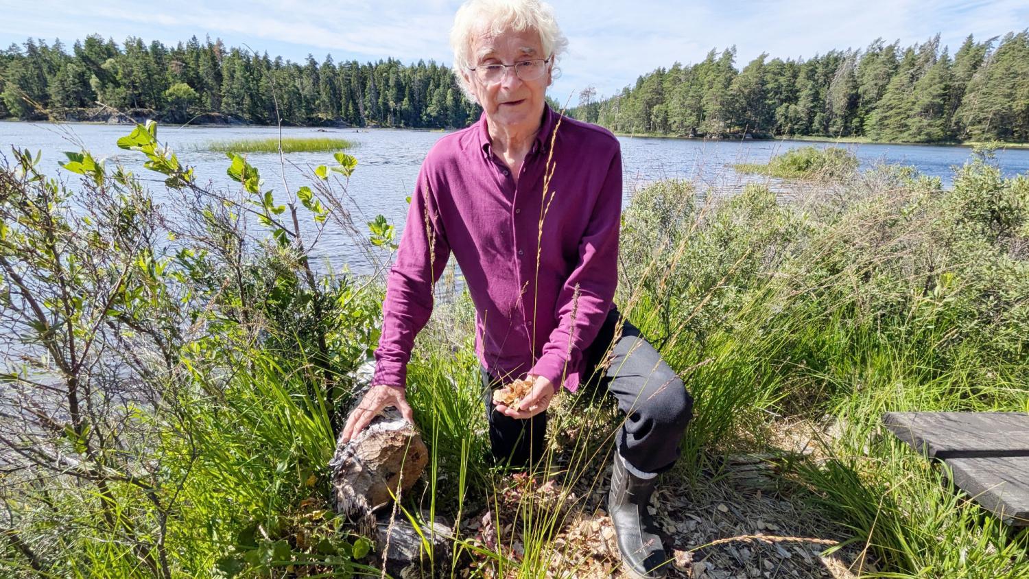 En äldre person knäböjer vid en sjöstrand, med växter eller gräs i ena handen, omgiven av grönska, med vatten och träd i bakgrunden.