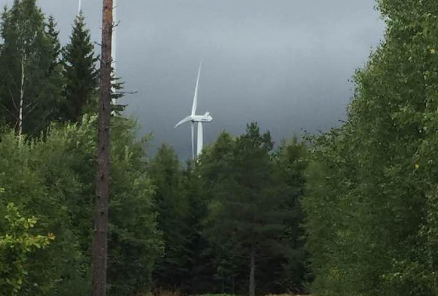 Ett vitt vindkraftverk syns bland täta gröna träd med en molnig himmel i bakgrunden.