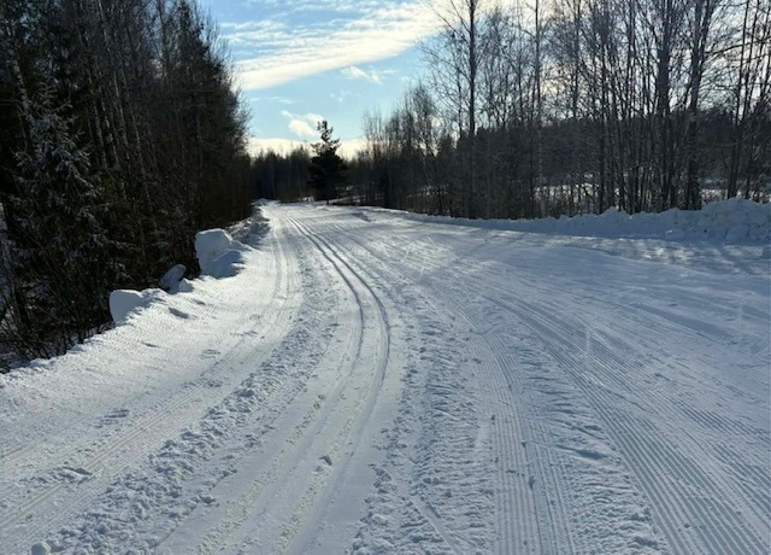 En snötäckt väg slingrar sig mjukt genom en vintrig skog med kala träd under en delvis molnig himmel.