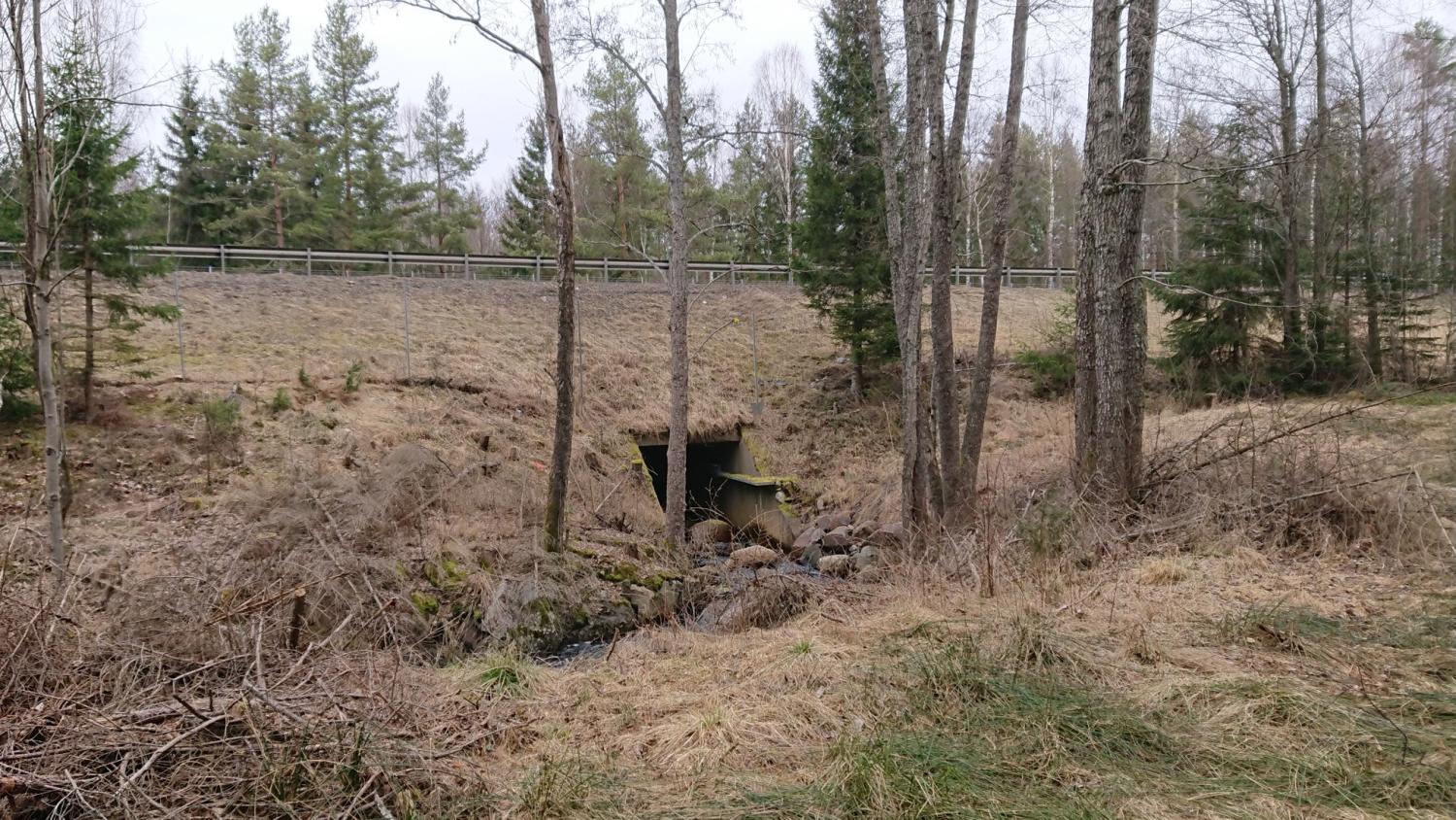 En liten betongkulvert löper under en gräsbevuxen vall nära en skog, med träd och ett staket synliga i bakgrunden.
