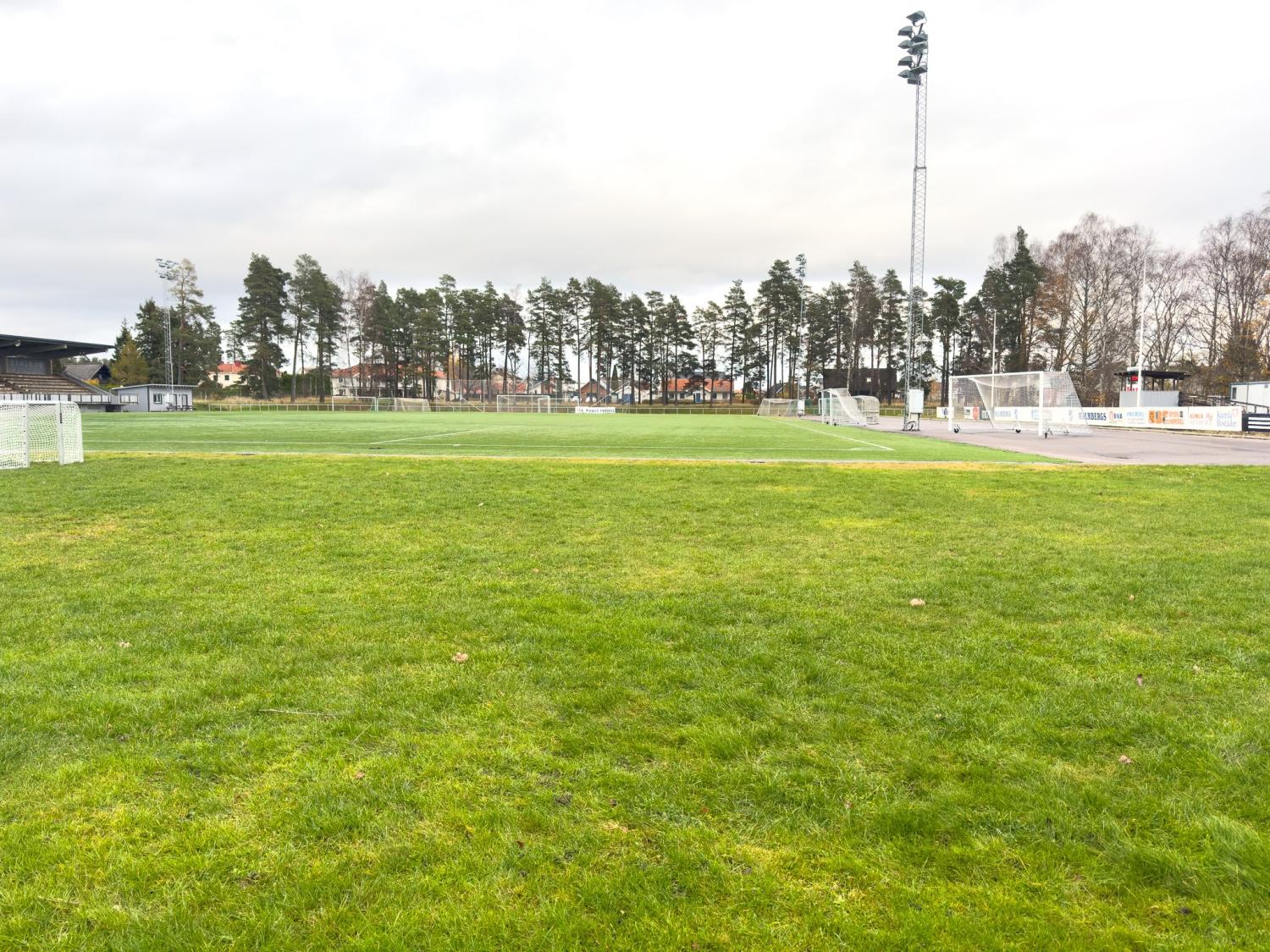 En grön fotbollsplan med målstolpar, omgiven av träd och strålkastare under en molnig himmel.