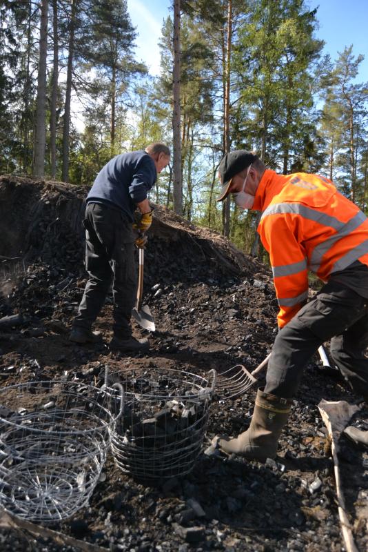 Två personer samlar träkol med spadar och högafflar i ett skogsområde. De har arbetskläder på sig och står nära trådkorgar fyllda med träkol.