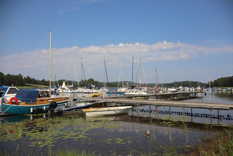 Båtar ligger förtöjda vid en småbåtshamn på en stilla sjö under en blå himmel, med näckrosblad på vattnet och gröna träd i bakgrunden.