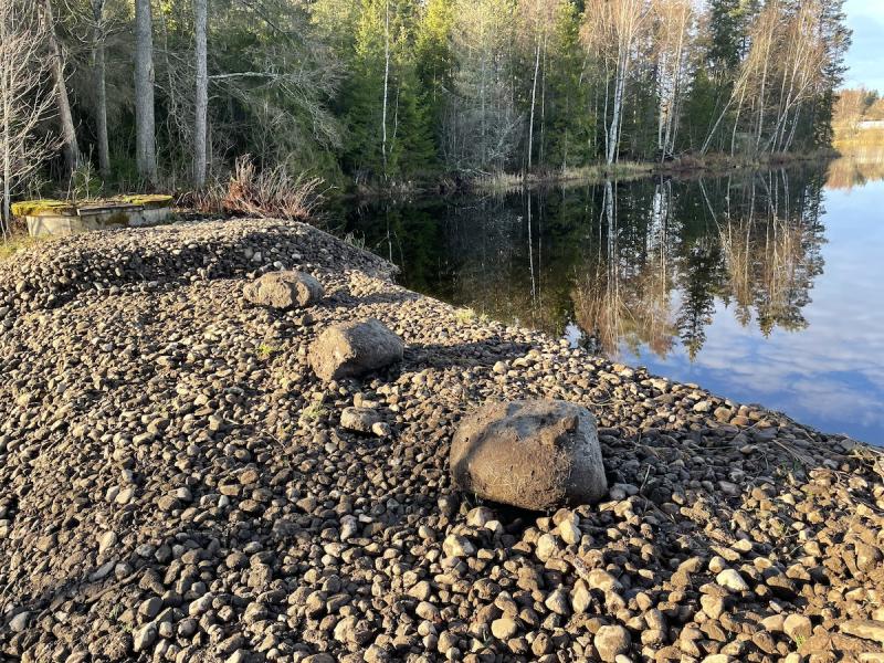 Stenig strandlinje med stora stenar som leder till en lugn reflekterande sjö, omgiven av täta träd på en klar dag.