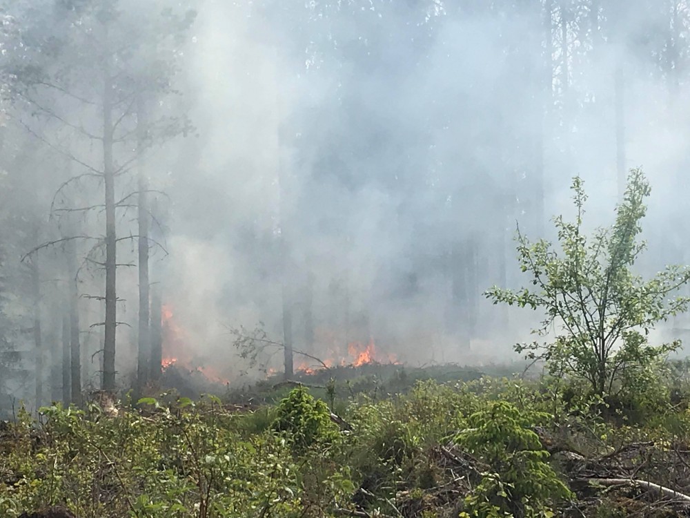 Det brinner i skogen norr om Östra Laxsjön i Laxå kommun. Foto: Anders Björk