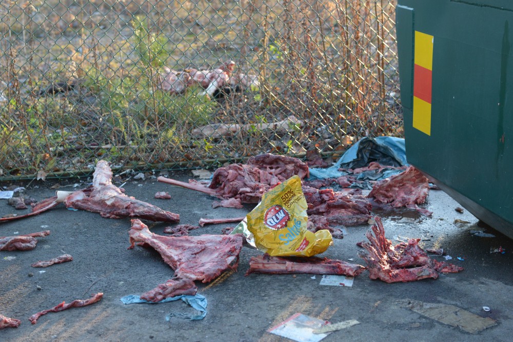 Köttresterna har dumpats både innanför och utanför stängslet till återvinningen. Foto: LG Månzon