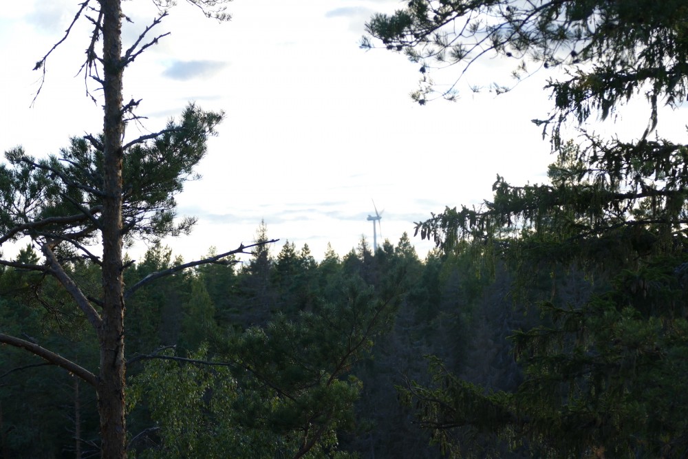 Vinkraftverken i Frotorp skymtar från naturreservatet Dovra Sjöar. SR Renewable vill bygga tre vindkraftverk till i området, men har övergett tanken på de som skulle komma närmast reservatet. Foto: Henrik Östensson