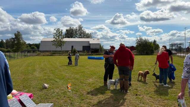 Människor och hundar samlas på en gräsbevuxen äng under en delvis molnig himmel, med en ladugård i bakgrunden och olika föremål utlagda på en picknickbänk i närheten.