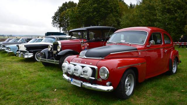 En rad klassiska bilar, inklusive en röd Volvo PV544 i fronten, parkerade på gräset vid en bilutställning utomhus med träd i bakgrunden.