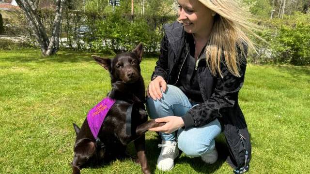 En kvinna sitter på huk i gräset och ler mot en brun hund som bär en lila väst när de skakar hand en solig dag.