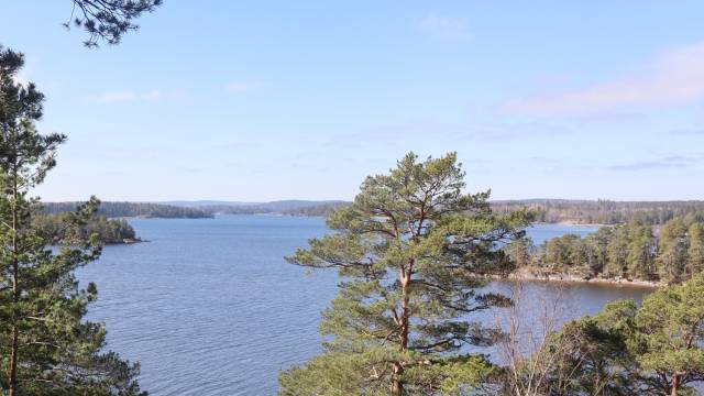 Utsikt över en lugn sjö omgiven av vintergröna träd under en klarblå himmel, med skogsklädd strandlinje synlig i fjärran.