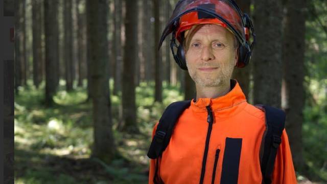 En person i en orange säkerhetsväst och hjälm med hörselskydd står i en solbelyst skog med höga träd i bakgrunden.