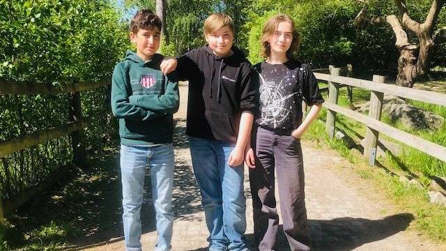 Tre tonåringar står sida vid sida på en solbelyst gångväg i en park, med trästaket och gröna träd i bakgrunden.