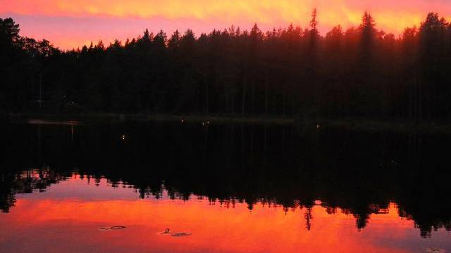 En skog avtecknar sig i siluett mot en solnedgång i orange och rosa, och färgerna reflekteras i det lugna vattnet i en sjö i förgrunden.