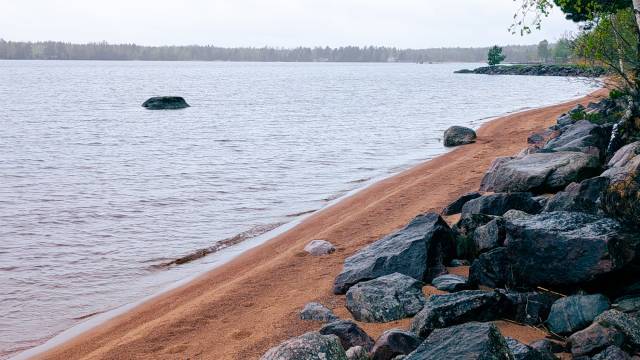 Klippig strandlinje med rödaktig sand vid ett lugnt vattendrag, utspridda stora stenar och träd i bakgrunden under en mulen himmel.