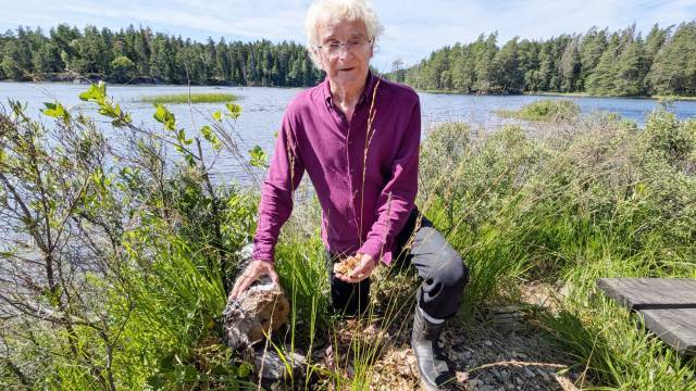 En äldre person knäböjer vid en sjöstrand, med växter eller gräs i ena handen, omgiven av grönska, med vatten och träd i bakgrunden.
