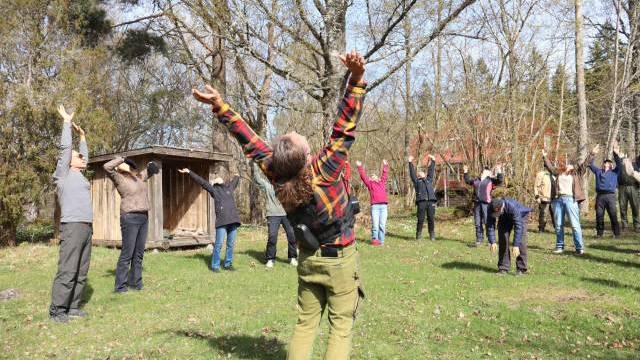 En grupp människor står utomhus på en gräsmatta och sträcker upp armarna, de deltar i en stretching- eller träningsaktivitet nära träd och ett träskjul.