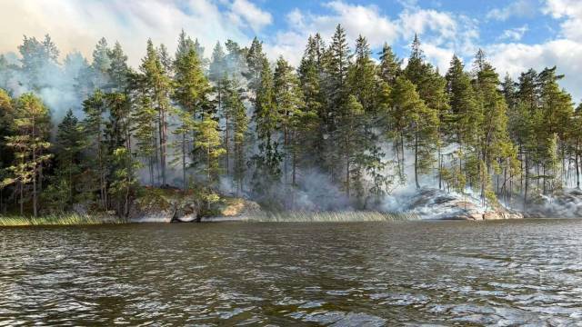 Rök stiger upp från ett skogsområde vid en sjö, med träd längs strandkanten och vatten i förgrunden under en delvis molnig himmel.