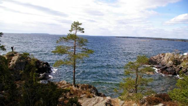 Klippig strandlinje med spridda tallar vid en stor vattensamling under en delvis molnig himmel. En person står på en klippa i bildens vänstra kant.