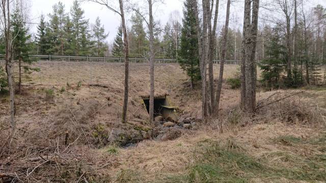 En liten betongkulvert löper under en gräsbevuxen vall nära en skog, med träd och ett staket synliga i bakgrunden.