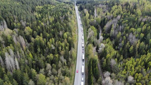 En lång rad fordon, främst lastbilar, sitter fast i trafiken på en tvåfilig väg omgiven av tät grön skog.