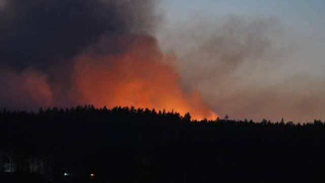 En stor eld brinner i en skog i skymningen.