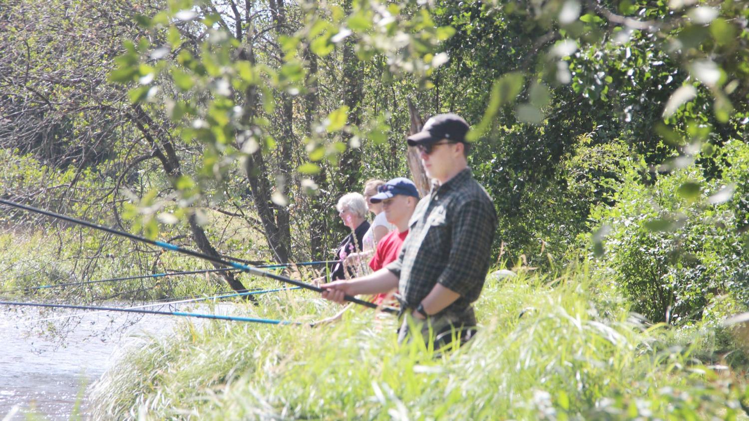 Fyra personer står på en gräsbevuxen flodbank och fiskar med fiskespön, omgivna av träd och grönska en solig dag.