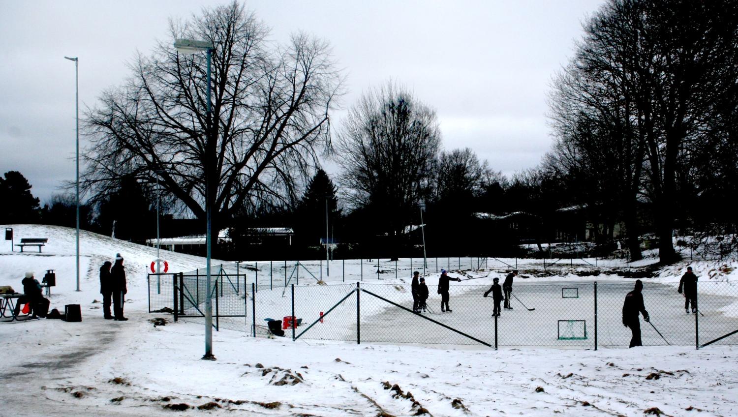 Människor spelar hockey på en utomhusrink omgiven av snö, med flera andra som står i närheten. Lövlösa träd och mulen himmel i bakgrunden.