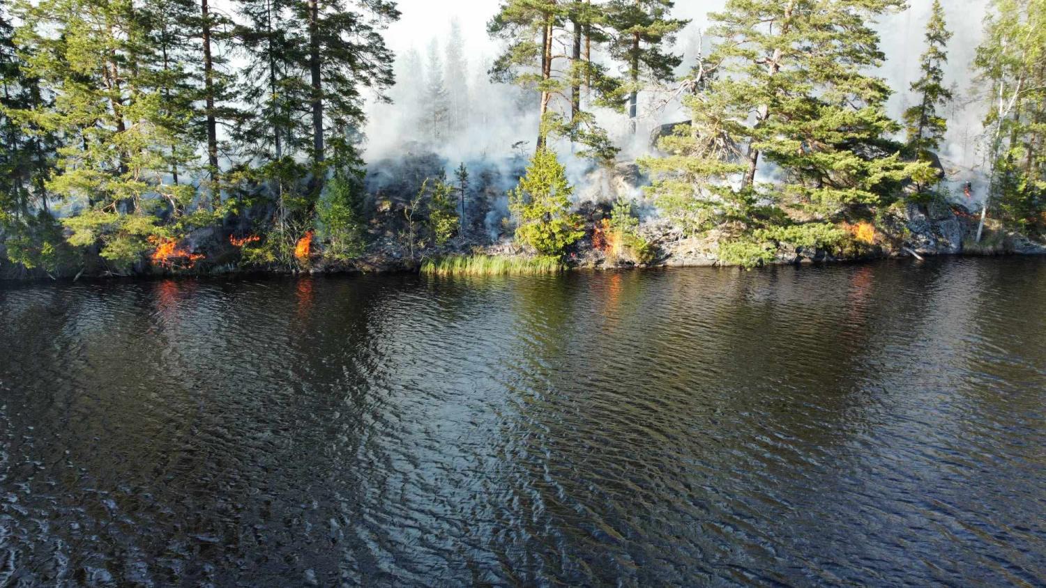 En skogsbrand brinner nära kanten av en flod, med rök som stiger upp bland träden och små lågor syns längs strandlinjen.
