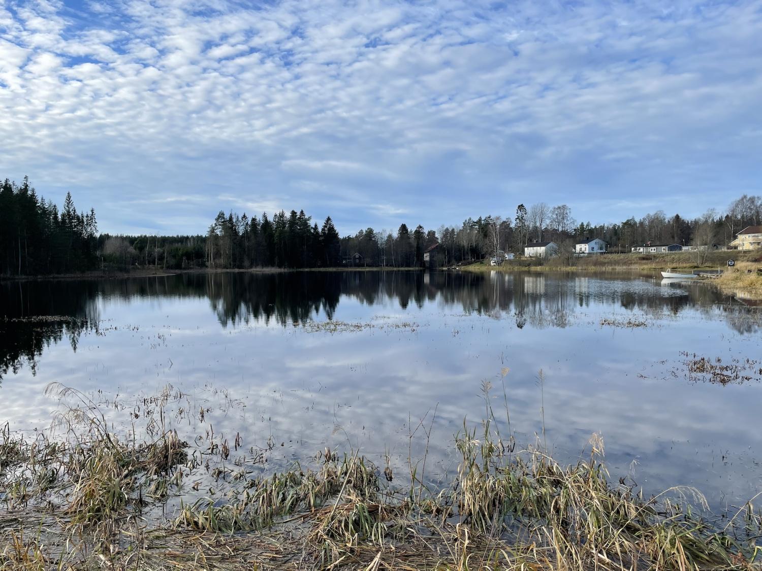 En lugn sjö som speglar himlen och omgiven av träd, med några hus i fjärran under en delvis molnig himmel.