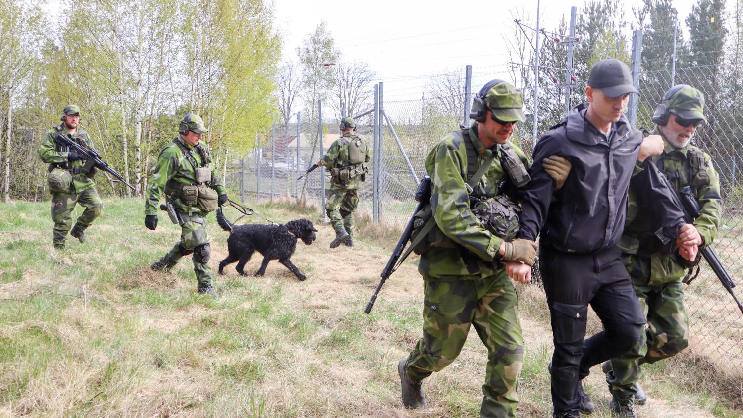 Fem soldater i kamouflageuniformer eskorterar en frihetsberövad man medan en militärhund med förare följer efter, alla går nära ett staket på en gräsmatta utomhus.
