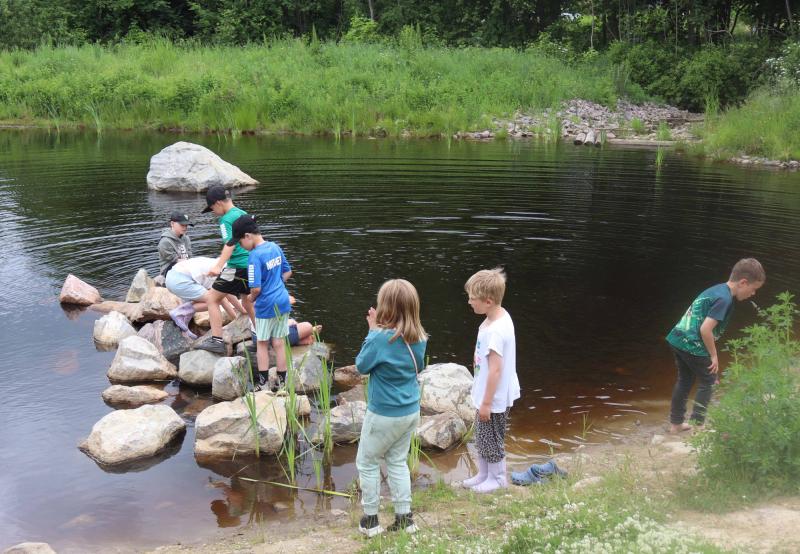 En grupp barn leker och utforskar klipporna och strandkanten vid en grund damm, omgiven av grönska.