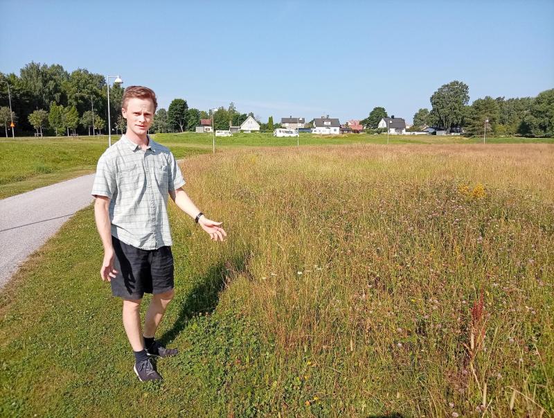 En person står på en stig intill en gräsbevuxen äng med spridda vildblommor, medan hus och träd syns i bakgrunden under en klar himmel.
