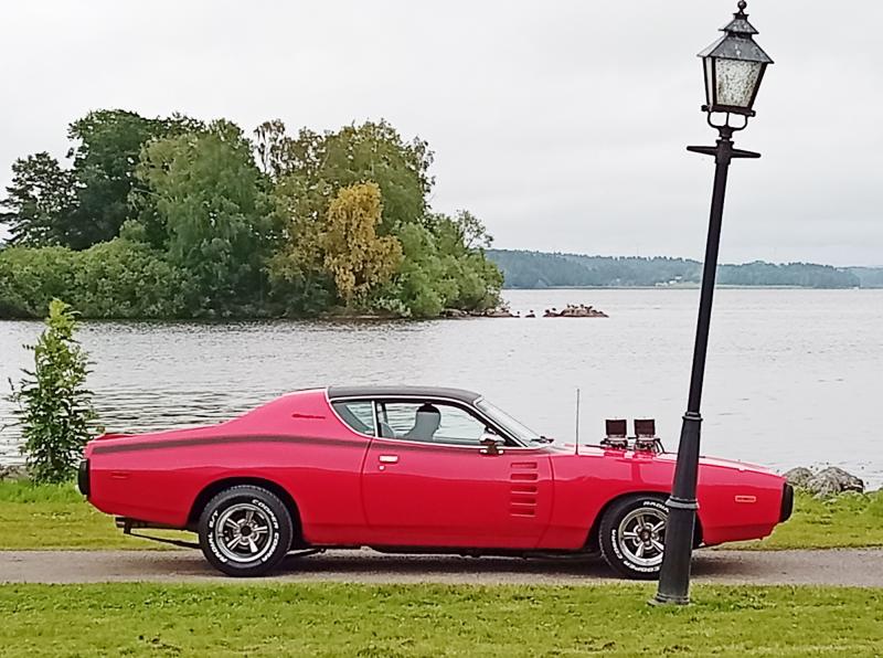 En röd klassisk muskelbil står parkerad vid en sjö, med träd i bakgrunden och en snedställd lyktstolpe i förgrunden.