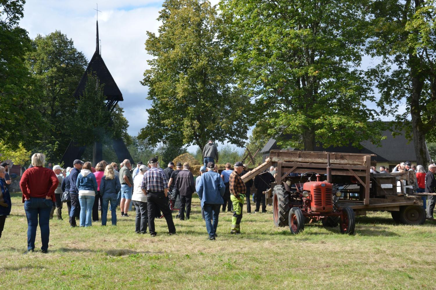 En grupp människor samlas utomhus på ett gräsbevuxet fält nära gammal jordbruksutrustning och en röd traktor, med träd och träbyggnader i bakgrunden.