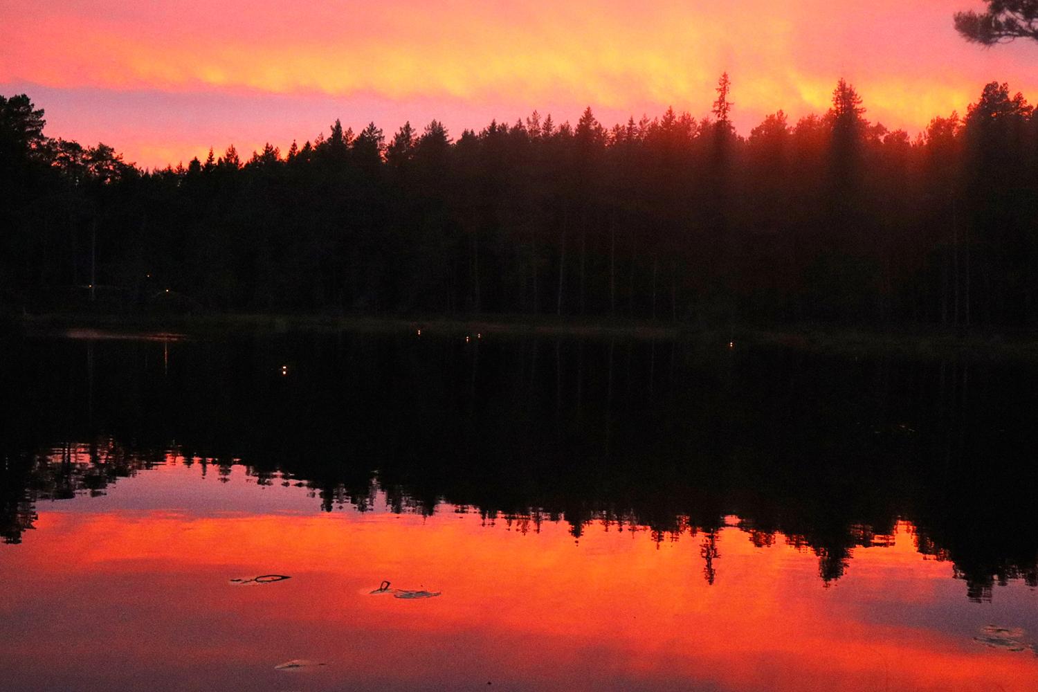 En skog avtecknar sig i siluett mot en solnedgång i orange och rosa, och färgerna reflekteras i det lugna vattnet i en sjö i förgrunden.