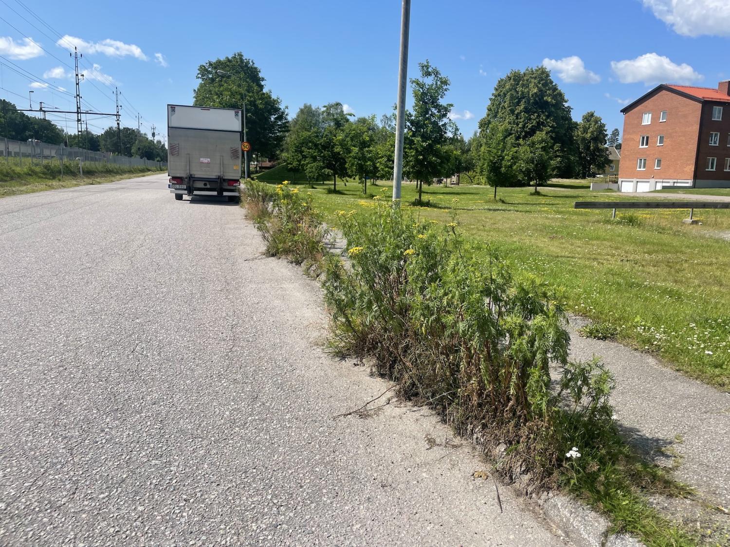 En lastbil står parkerad på en lugn gata bredvid en trottoar som är bevuxen med högt ogräs och gräs; i bakgrunden syns en gräsyta och en röd tegelbyggnad.