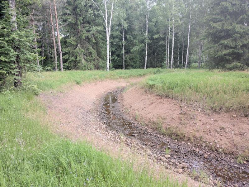 En smal, mestadels uttorkad bäck med sparsamt vatten rinner genom en gräsbevuxen yta omgiven av tät skog.