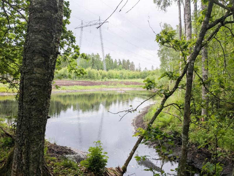En liten damm omgiven av träd och grönska, med kraftledningar och en elmast synliga i bakgrunden under en molnig himmel.