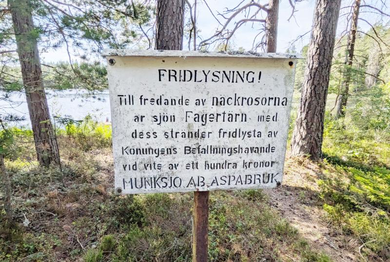 En väderbiten skylt i skogen vid en sjö, skriven på svenska, som varnar för att näckrosorna är skyddade och att överträdelser medför böter.