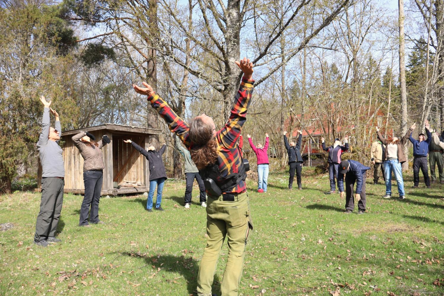 En grupp människor står utomhus på en gräsmatta och sträcker upp armarna, de deltar i en stretching- eller träningsaktivitet nära träd och ett träskjul.