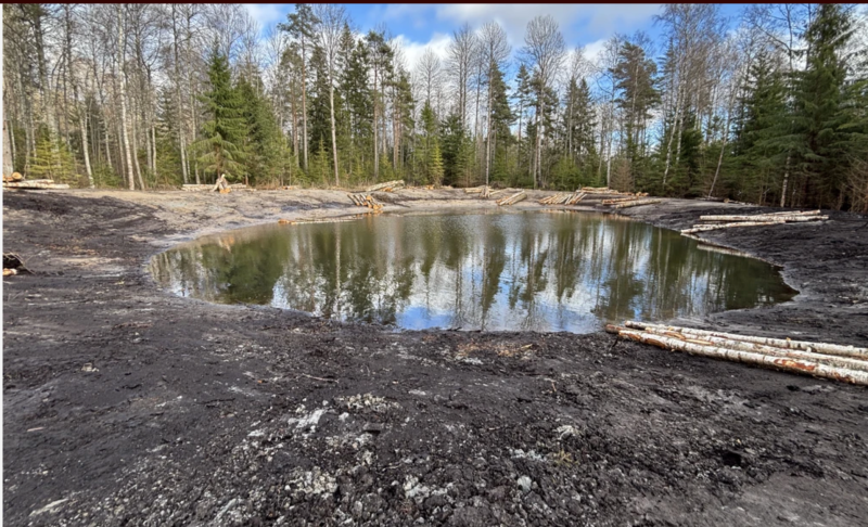 En liten, rund damm omgiven av jord och utspridda stockar, med en skog av höga träd i bakgrunden under en delvis molnig himmel.