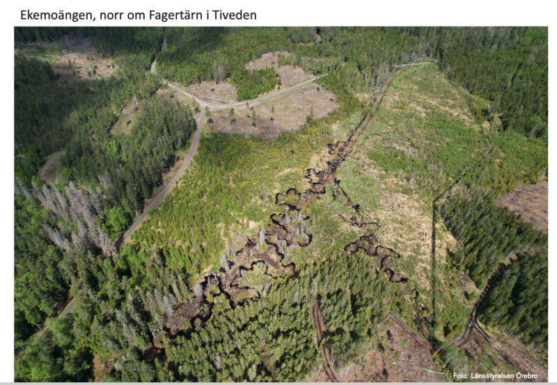 Flygfoto över en slingrande bäck med omgivande skog och gläntor vid Ekemoängen, norr om Fagertärn i Tiveden, Sverige.