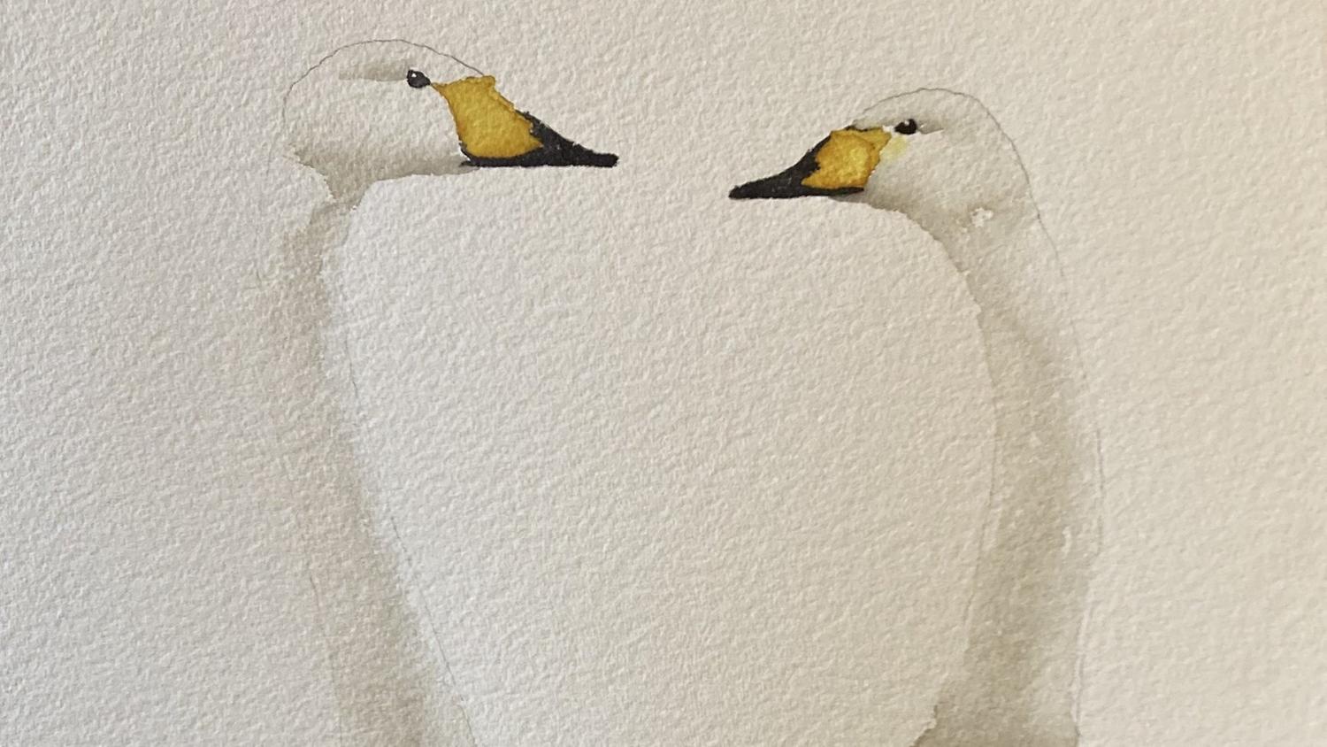 Två svanar med gula och svarta näbbar vända mot varandra, målade i minimalistisk akvarellstil på strukturerat papper.