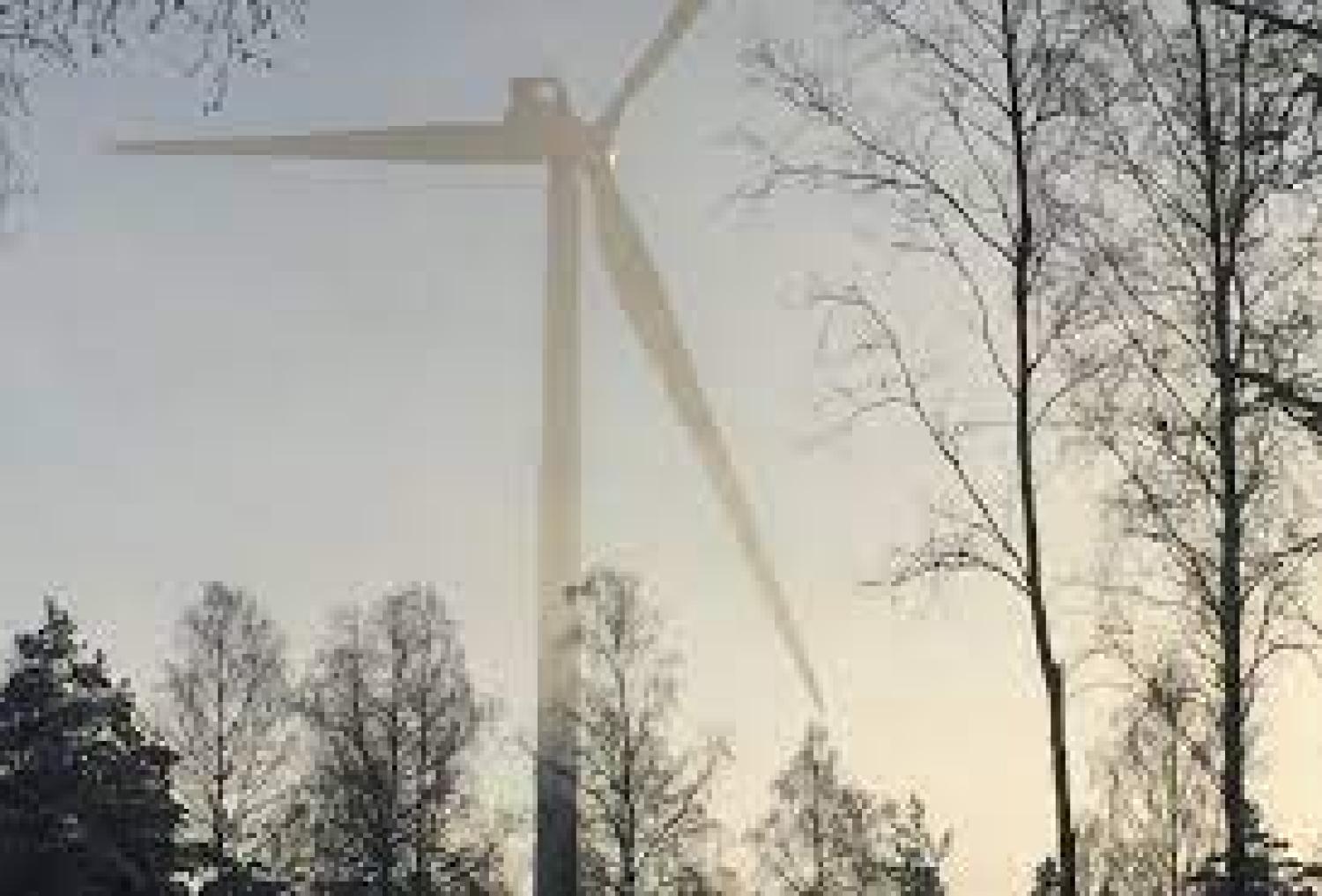 Ett vindkraftverk mitt i en skog.